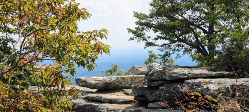 Good News and Cool&nbsp;Views