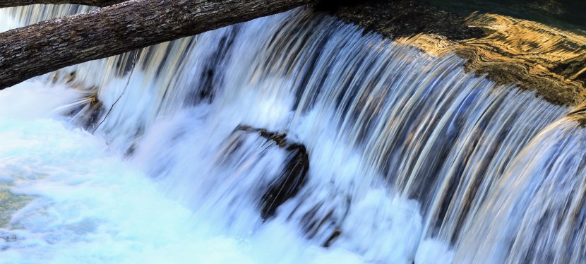 The Beauty Turned&nbsp;Beast